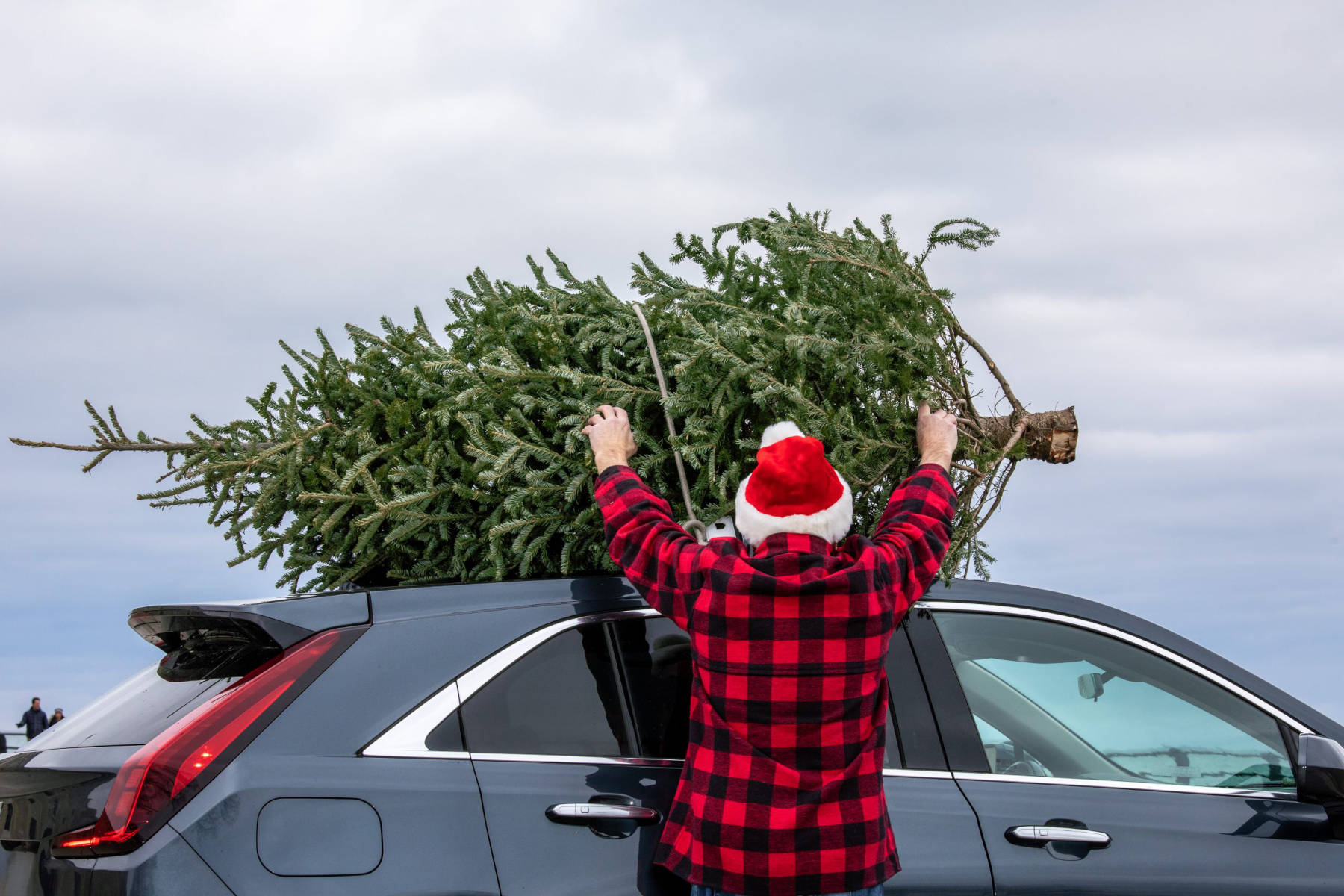 Bob's Driveline Christmas Tree on Car